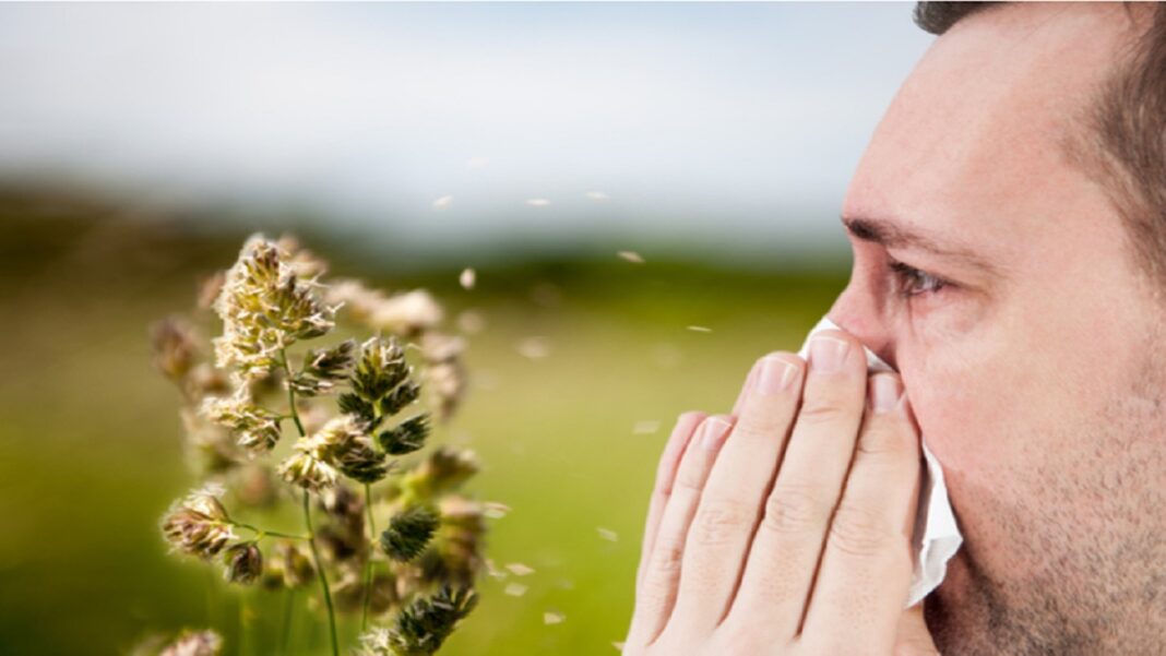 La alergia al polen afecta a millones de personas en el mundo. Foto referencial