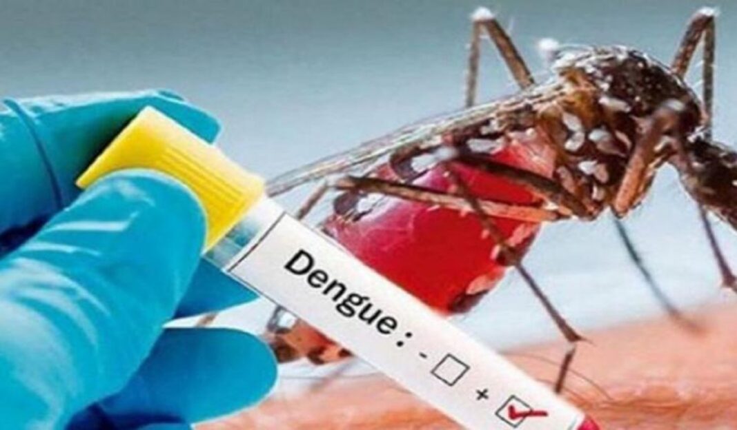 ¡ALERTA EN BUCARAMANGA! Aumentan muchísimo los casos de dengue